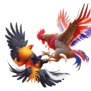 Sòng bạc trực tuyến bancah5